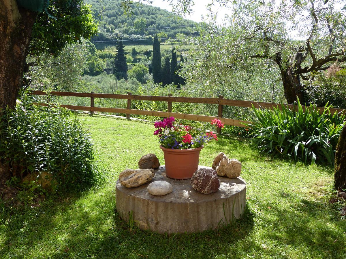 Olive Press Lodge 基亚瓦里 外观 照片